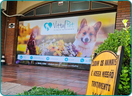 Entrada Vittal Pet Clínica Veterinária em Passo Fundo - RS