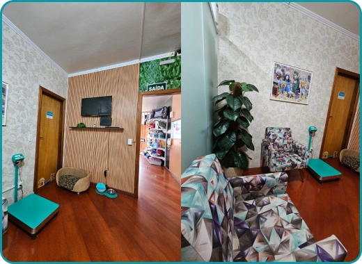 Recepção Vittal Pet Clínica Veterinária em Passo Fundo - RS